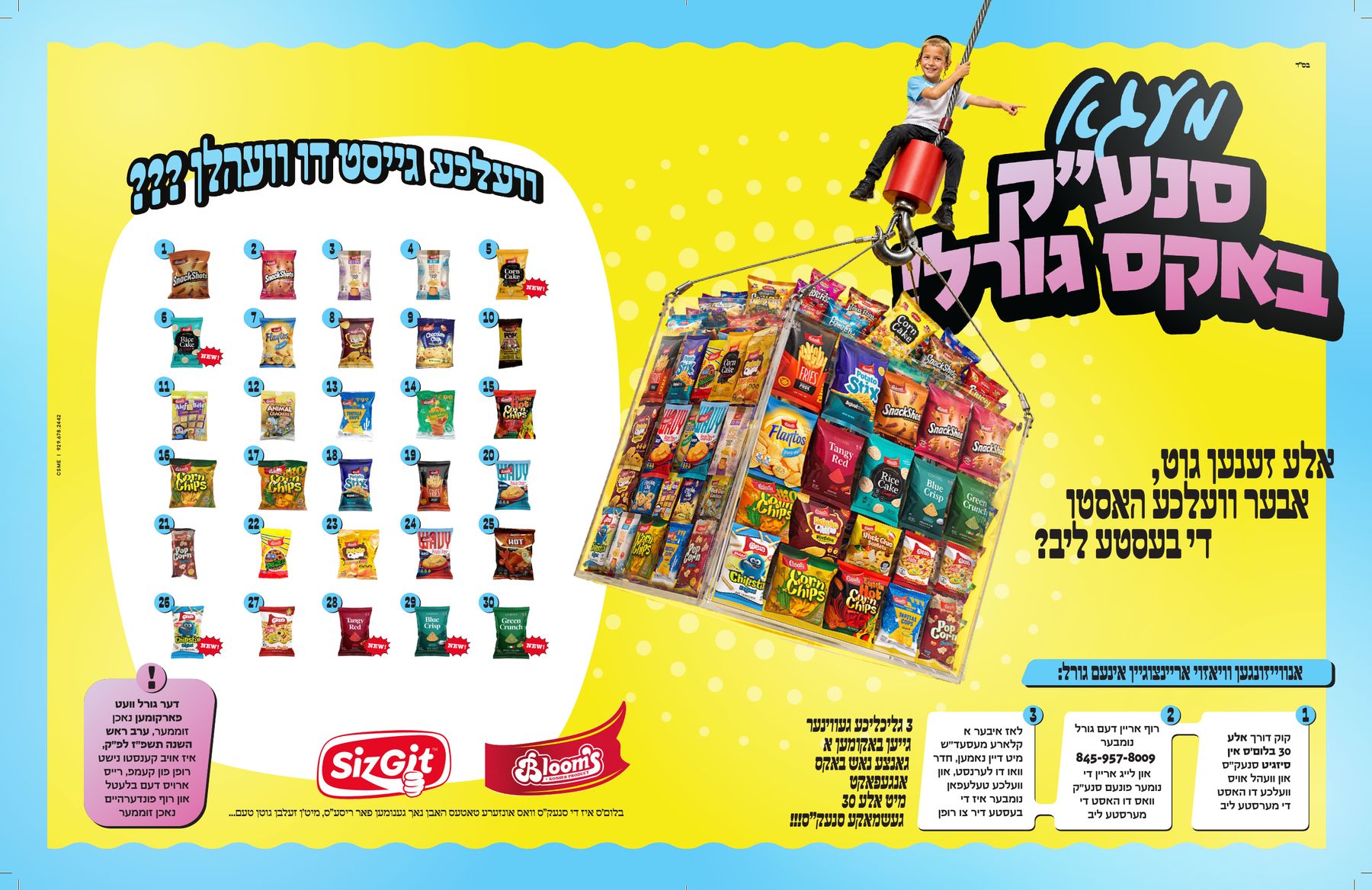 Blooms × SizGit — The Mega Snack Box Goral: the flyer
