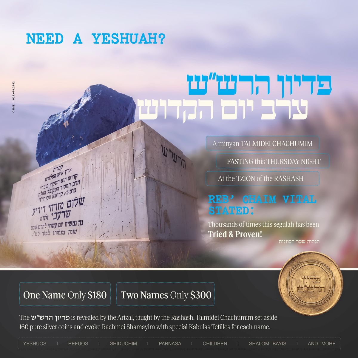 “Need a Yeshuah?” flyer for the Pidyon HaRashash on Erev Yom Kippur