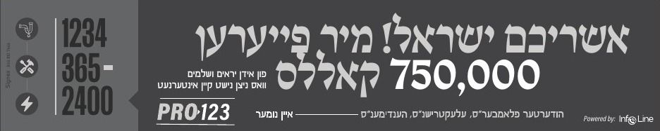 Pro 123 × Infoline — Luach Hatzibur Campaign: 2 of 7