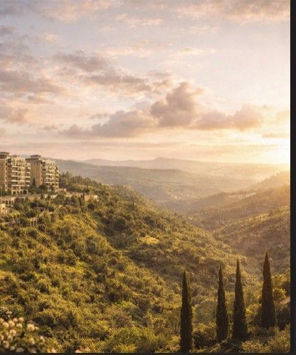 Tel Hashirim — Living, Elevated: 7 of 7